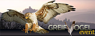 Greifvogel Event